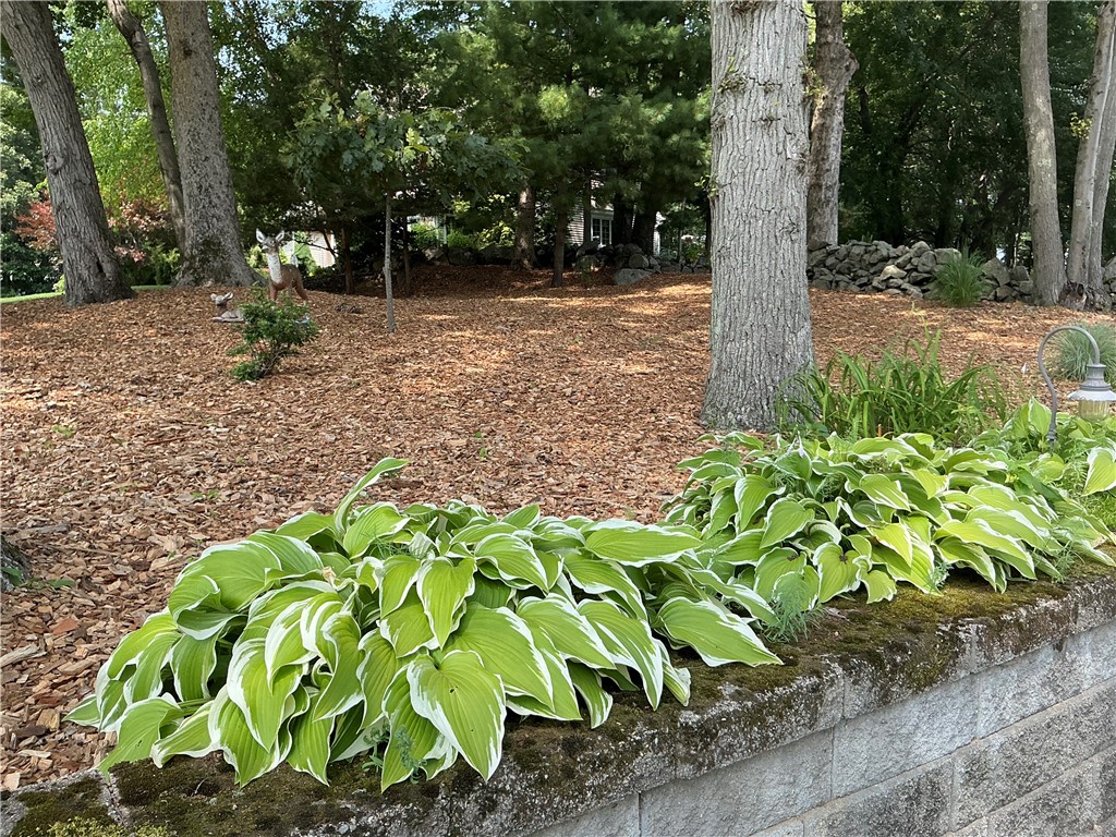 15 Ezechiel Carre Road