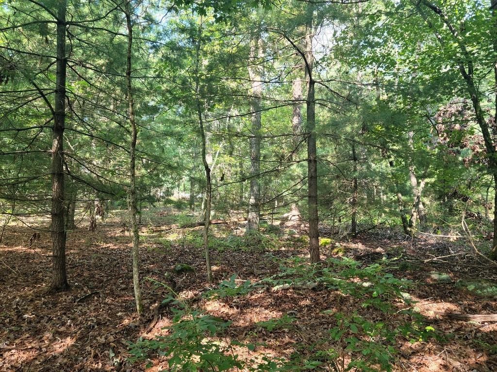 Photo 10 of 13 of 3356 Post Road land