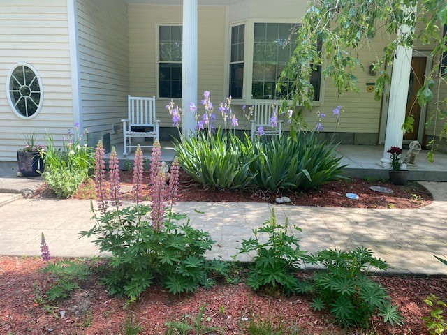 11 Fox Court
