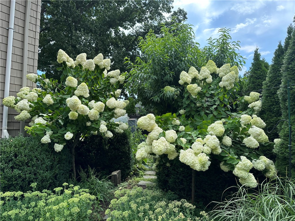 Cranston, Rhode Island 02920, United States, 4 Bedrooms Bedrooms, ,3 BathroomsBathrooms,Residential,Pending,97992