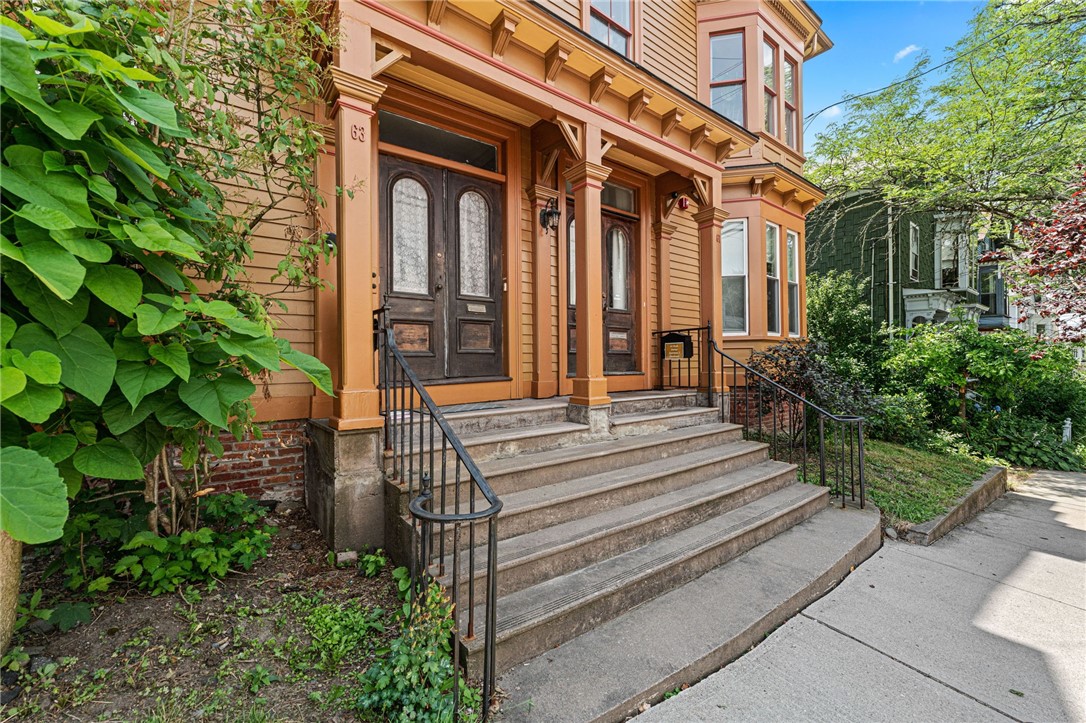 61 Doyle Avenue