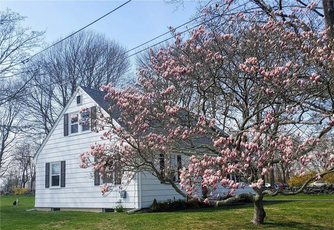 429 Forest Avenue