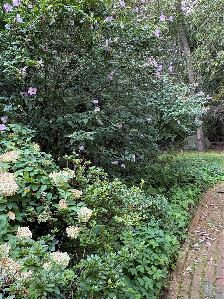 65 Hedgegrow Drive