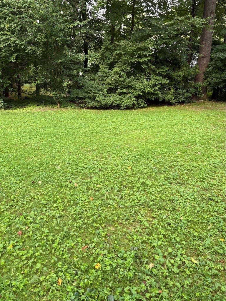 65 Hedgegrow Drive