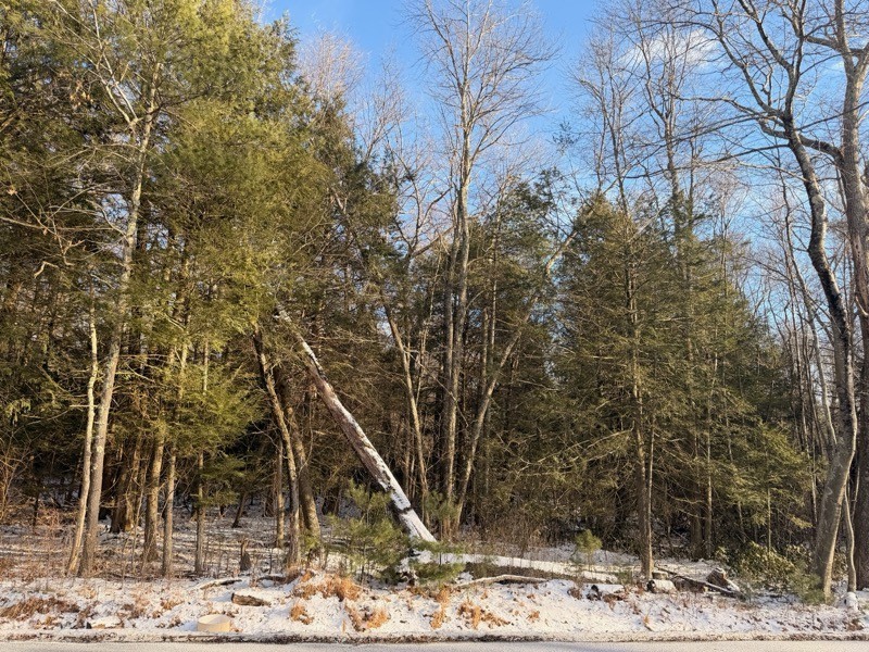 0 Chopmist Hill Road