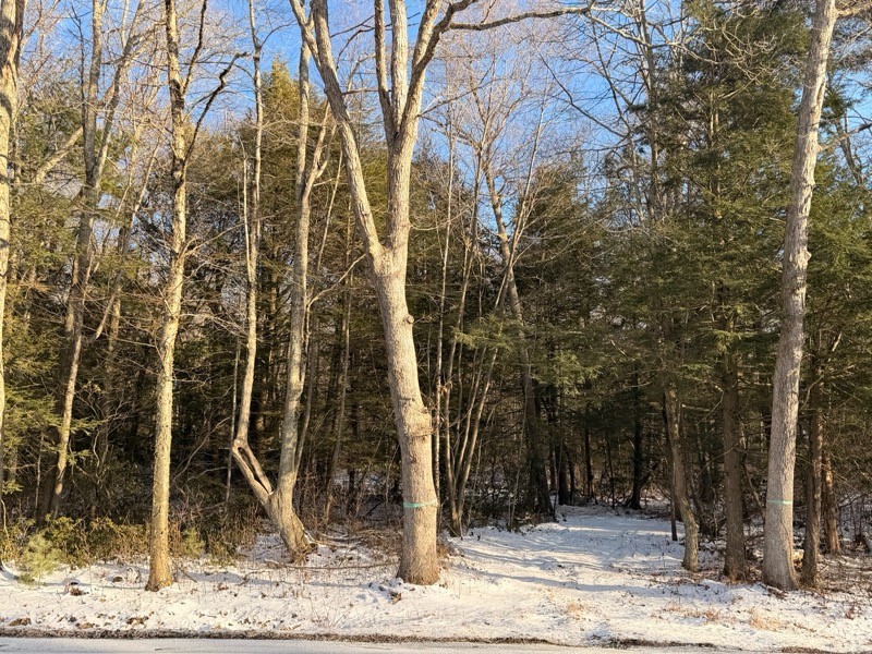 0 Chopmist Hill Road