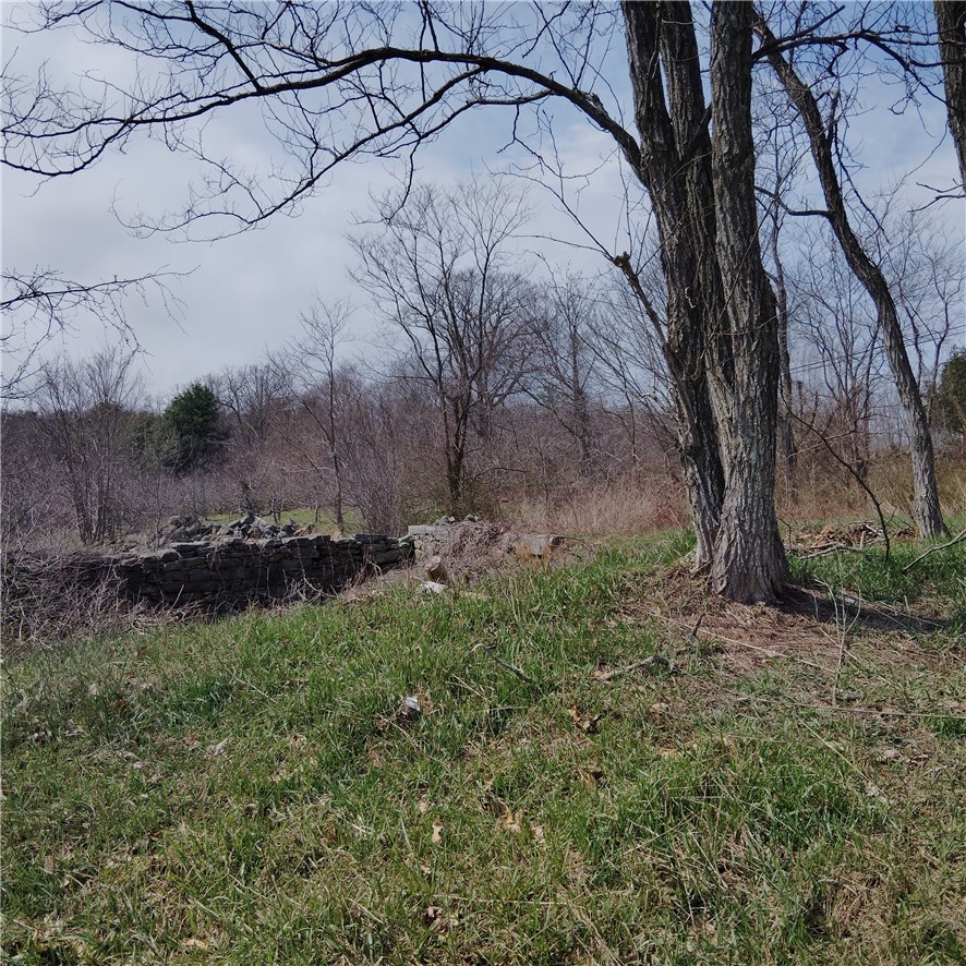 0 Carrs Trail