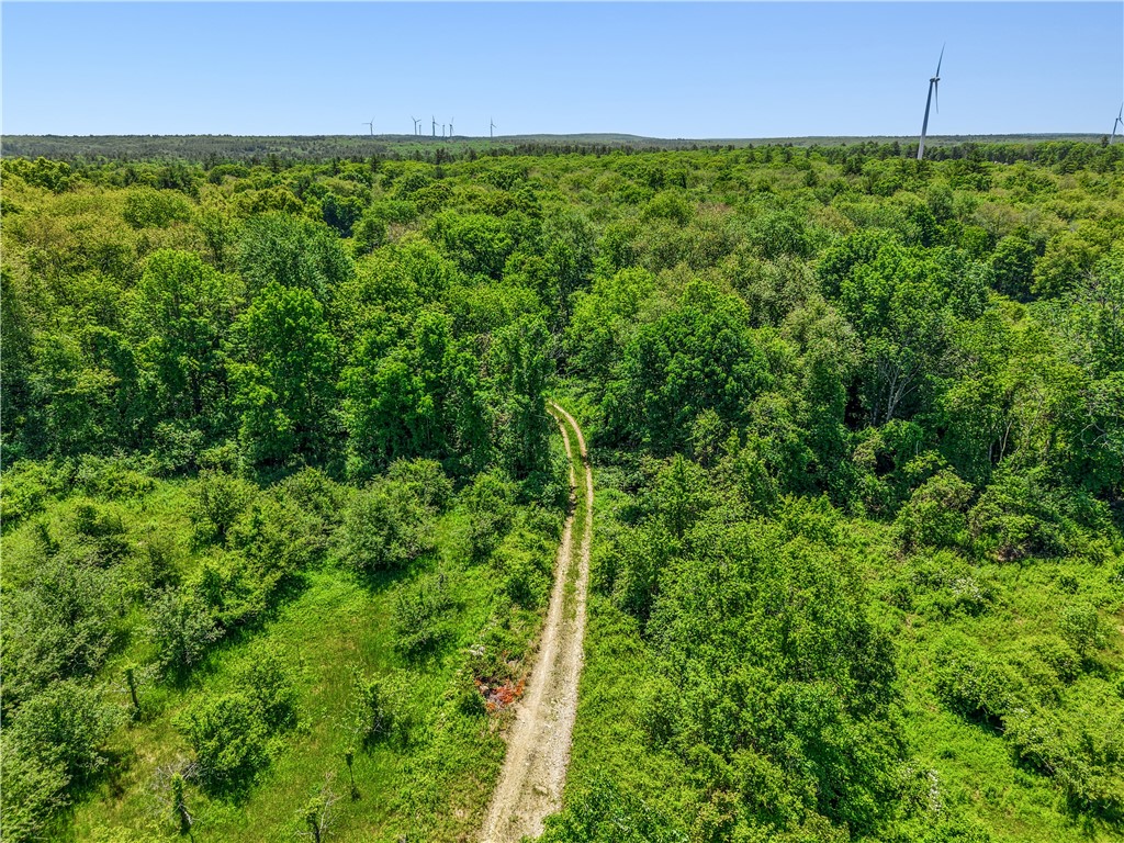 0 Carrs Trail