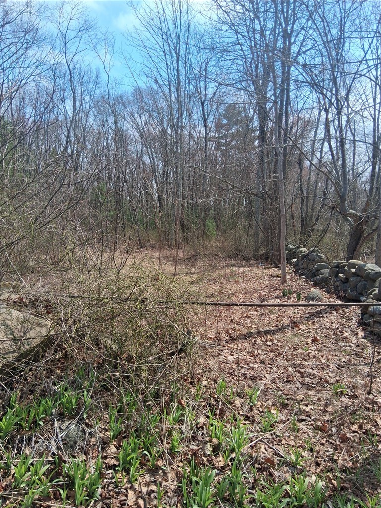 0 Carrs Trail