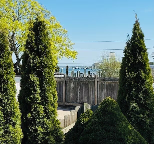 South Kingstown, Rhode Island 02879, United States, 1 Bedroom Bedrooms, ,1 BathroomBathrooms,Residential,Active,145982