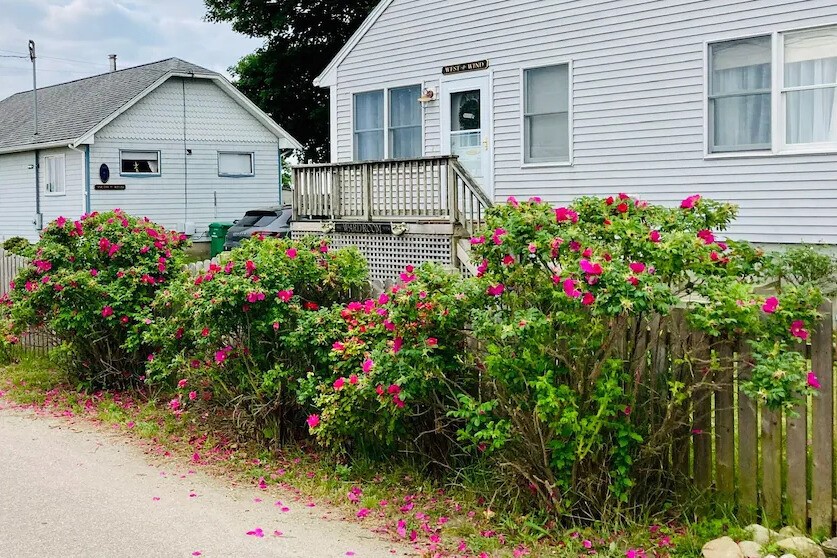 392 B Gooseberry Road