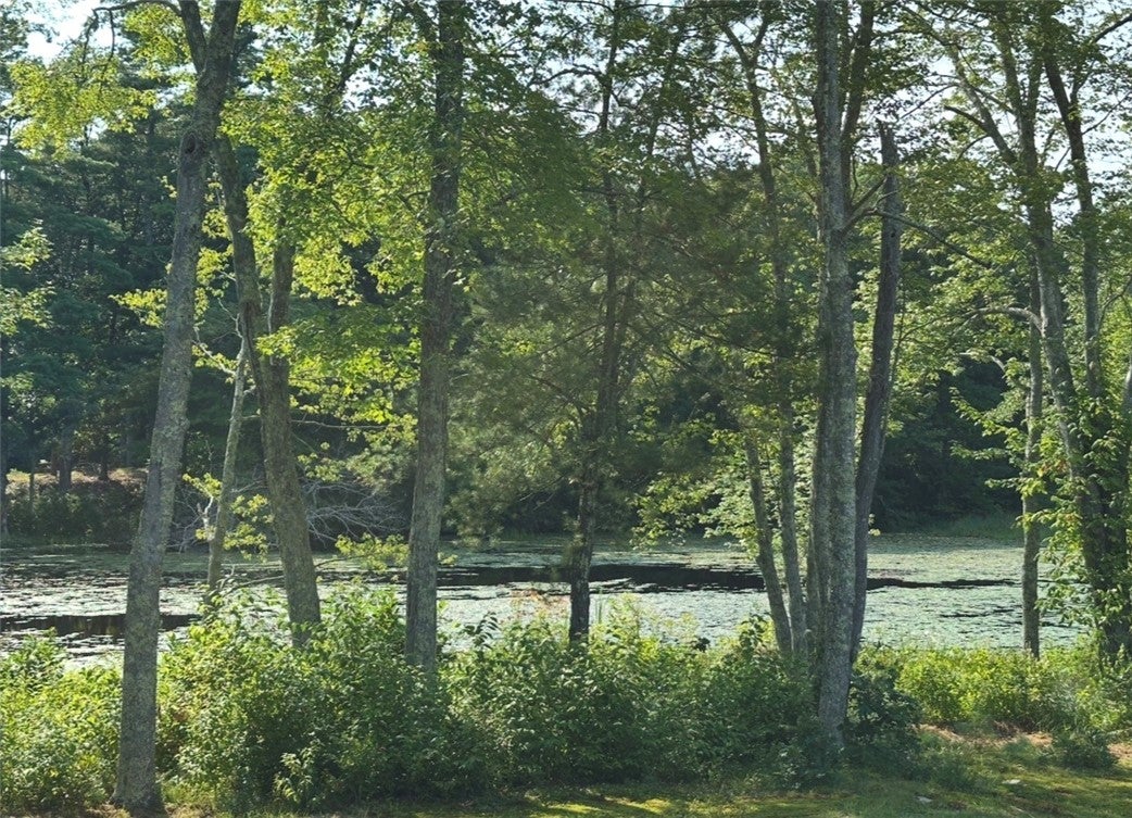 53 SANDY BROOK Road