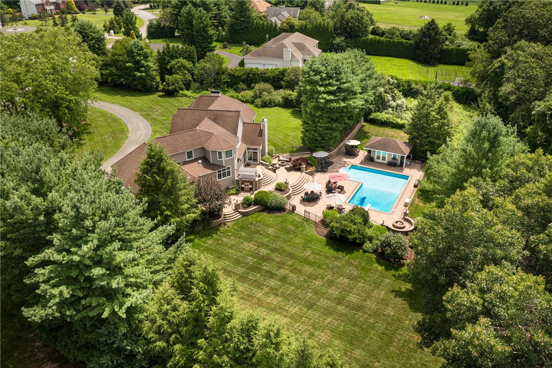 81 Crest Drive