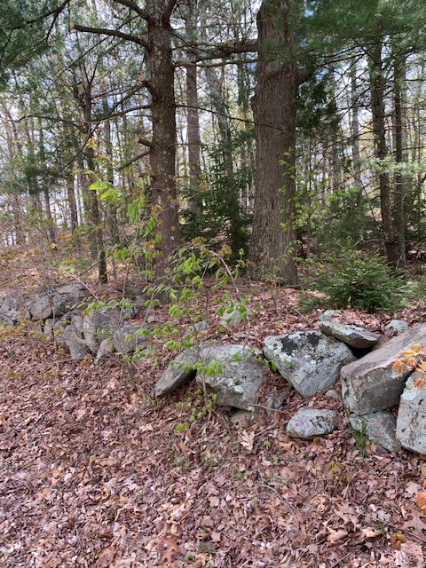 18 Homestead Avenue