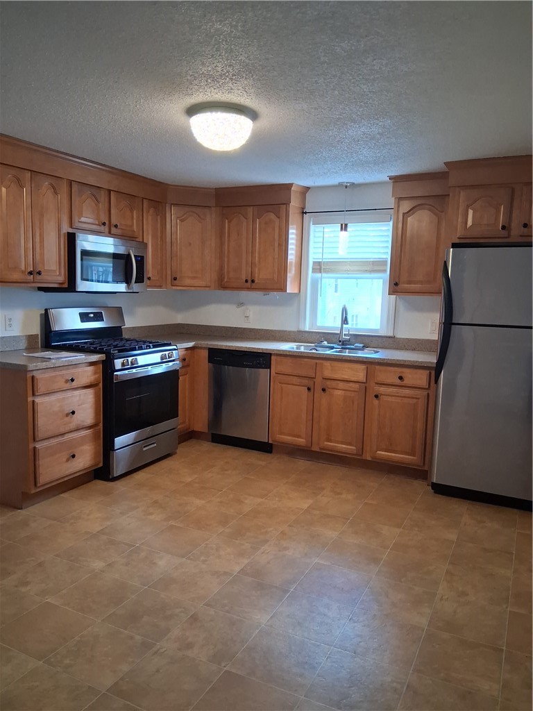 381 Old River Road 3