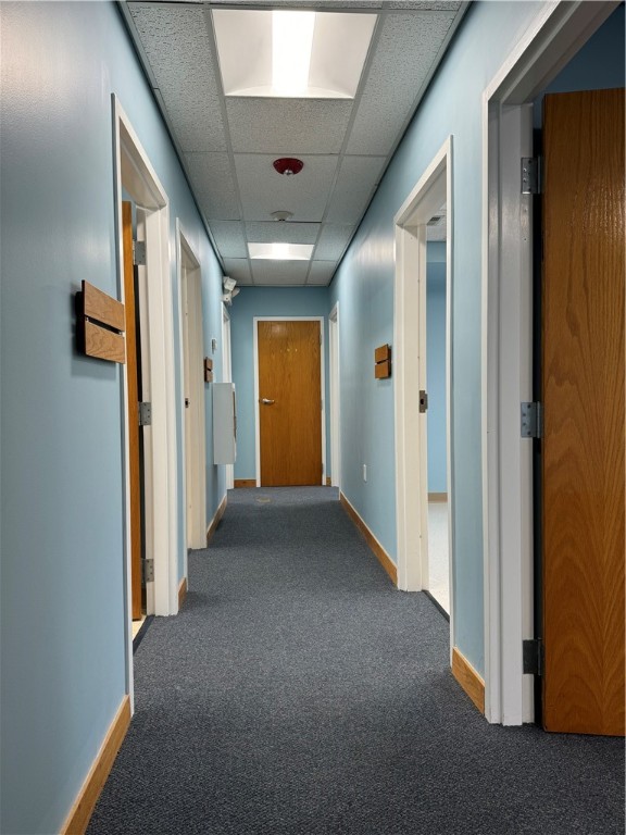 175 Nate Whipple Highway 101