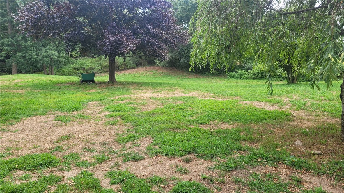 294 Rose Hill Rd. Road