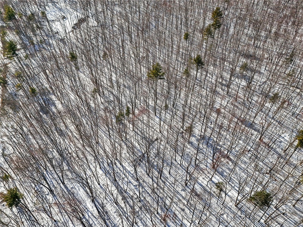 0 Bronco Highway
