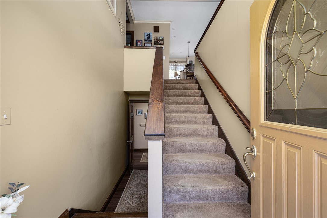 11 Renfrew Avenue