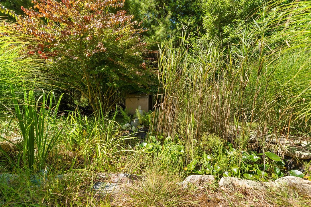 Richmond, Rhode Island 02892, United States, 3 Bedrooms Bedrooms, ,2 BathroomsBathrooms,Residential,Active,233401