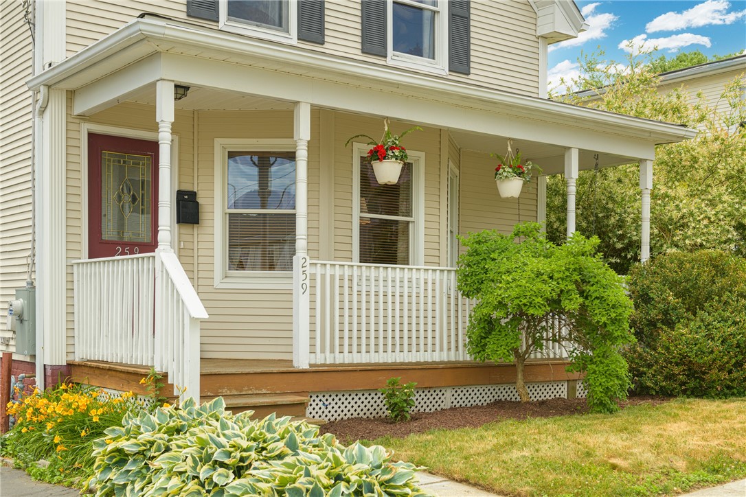 259 Juniper Street