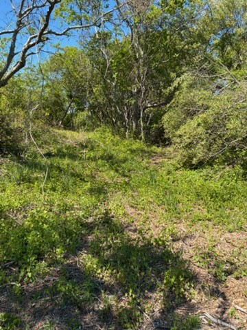 0 Lee's Ridge Road