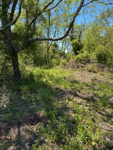 0 Lee's Ridge Road