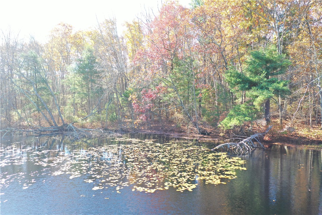 450 Log Road