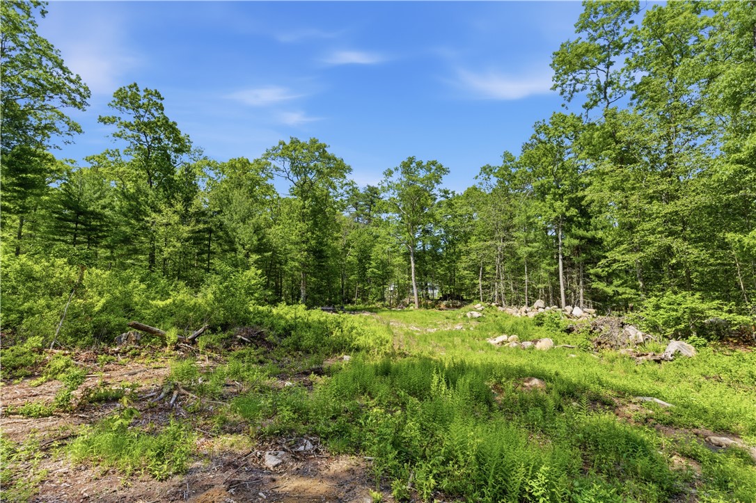 234 John Potter Road