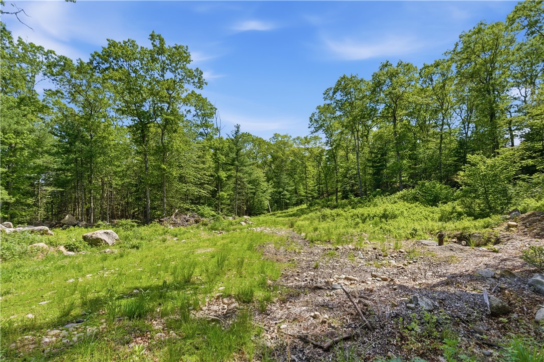 234 John Potter Road