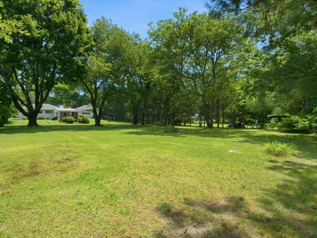 15 Wilder Avenue