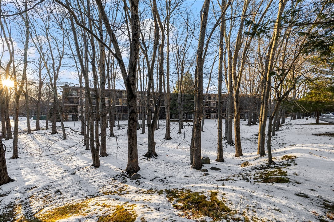 650 East Greenwich Avenue 3/102