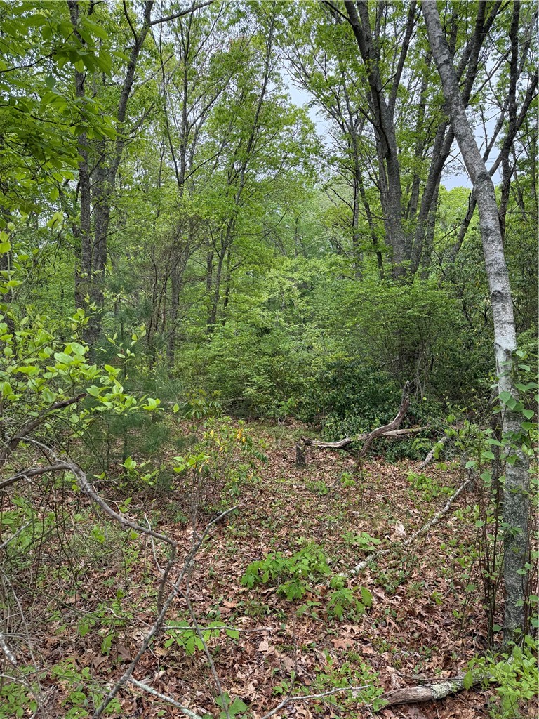 14 FALLON Trail R
