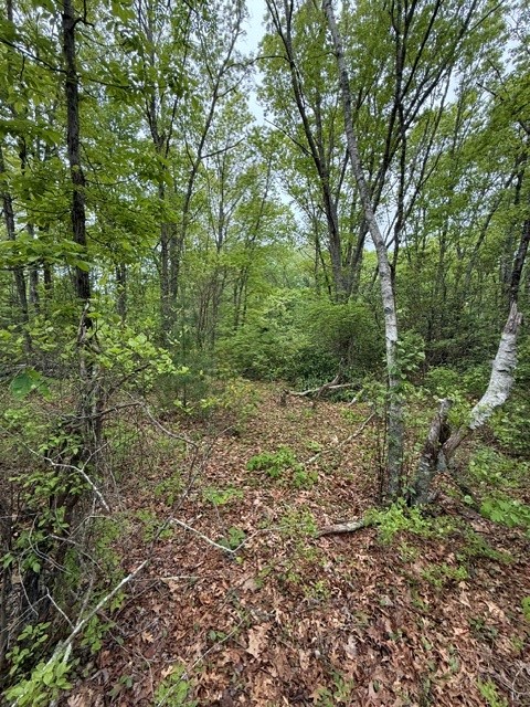 14 FALLON Trail R