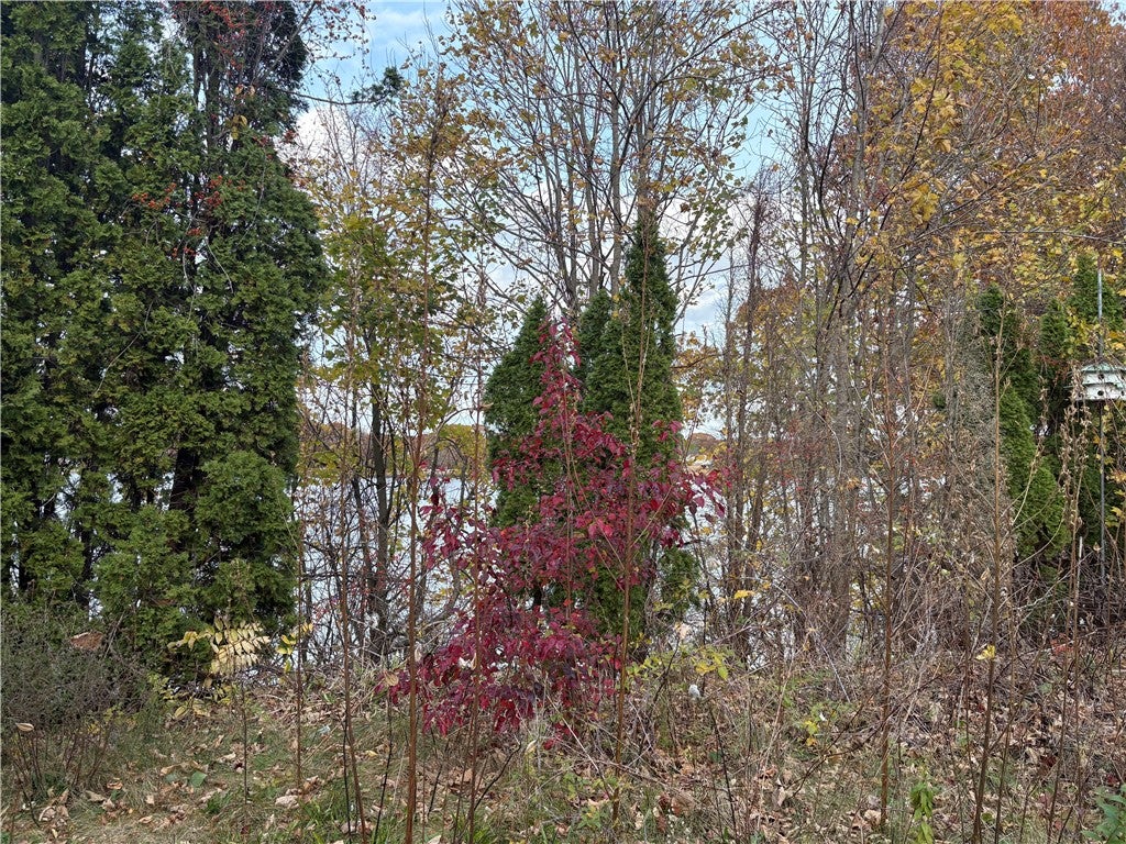 351 COUNTY Road