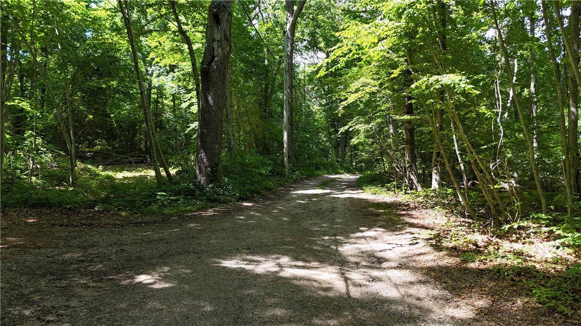 225 Warren Road