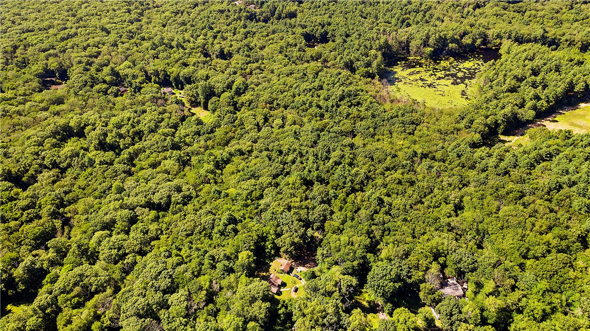 3565 Flat River Road