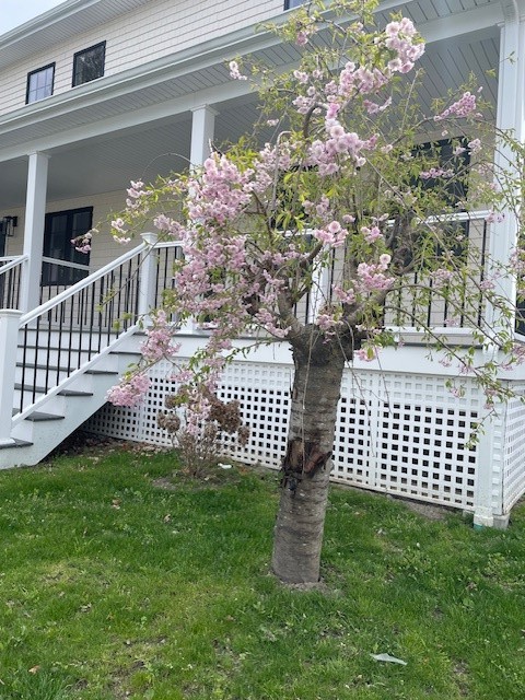 228 STATE Street 2