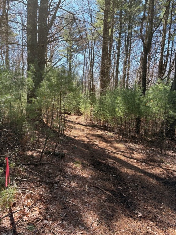 0 Putnam Pike