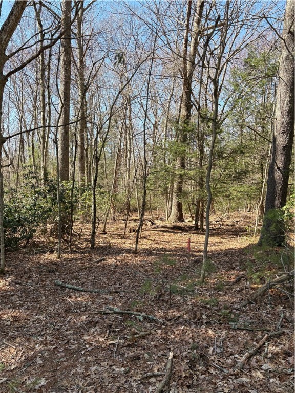 0 Putnam Pike