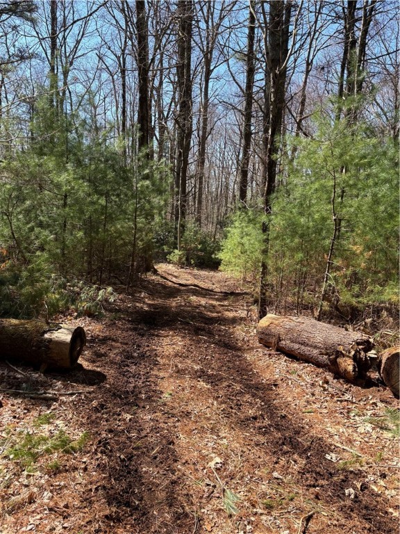 0 Putnam Pike