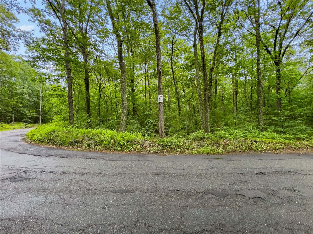 245 LOT1-5 Reservoir Road