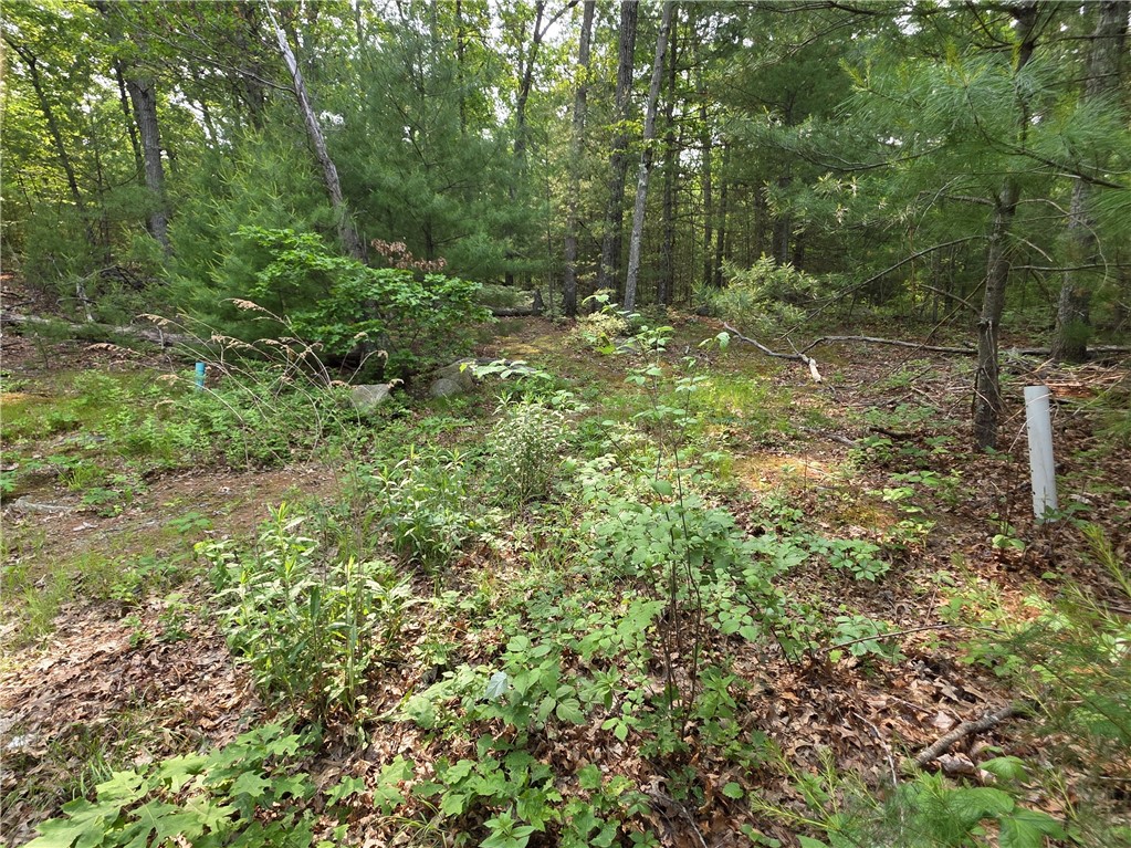 53 Elmgrove Avenue