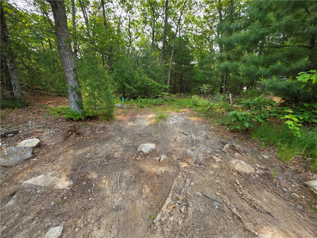 53 Elmgrove Avenue