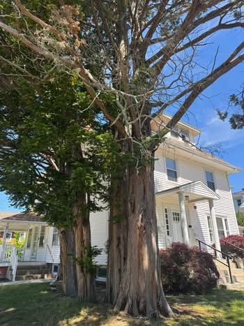 2249 Cranston Street