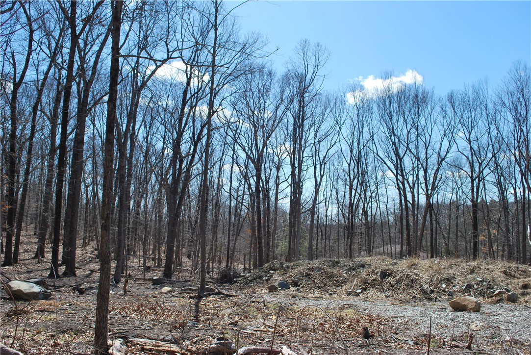 296 Tower Hill Road