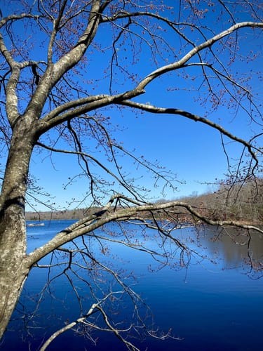 74 Blue Pond Trail
