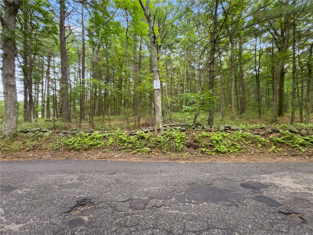 245 LOT 1 Reservoir Road