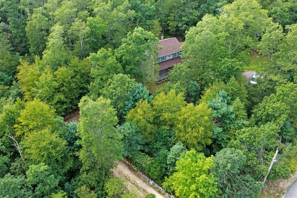19 Muratore Lane