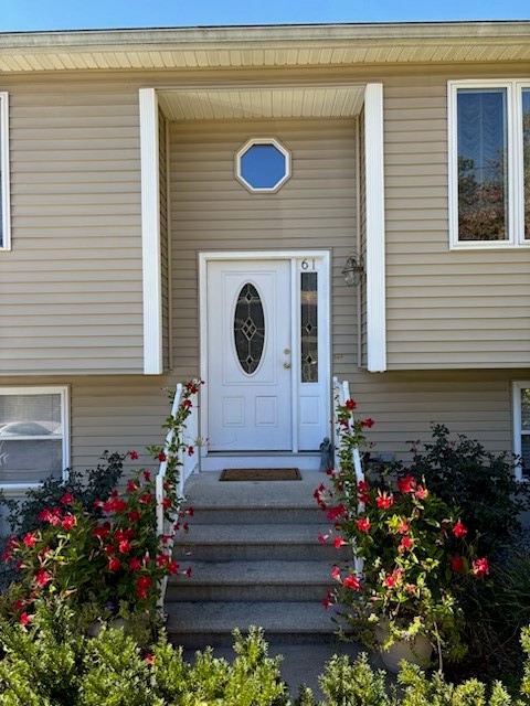 61 Wilson Avenue